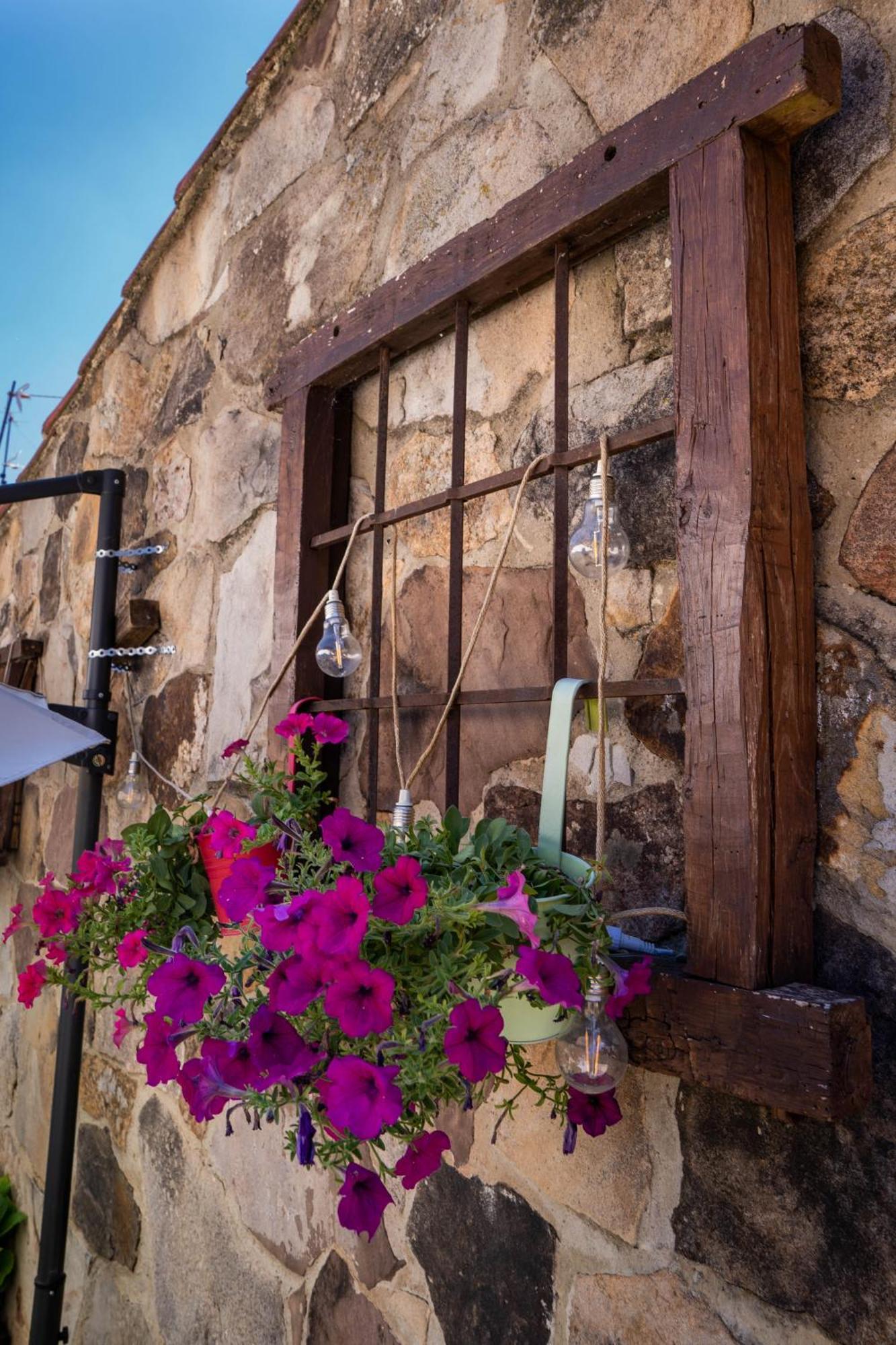 Posada Rural La Pinorra Hotel Vinuesa Exterior foto